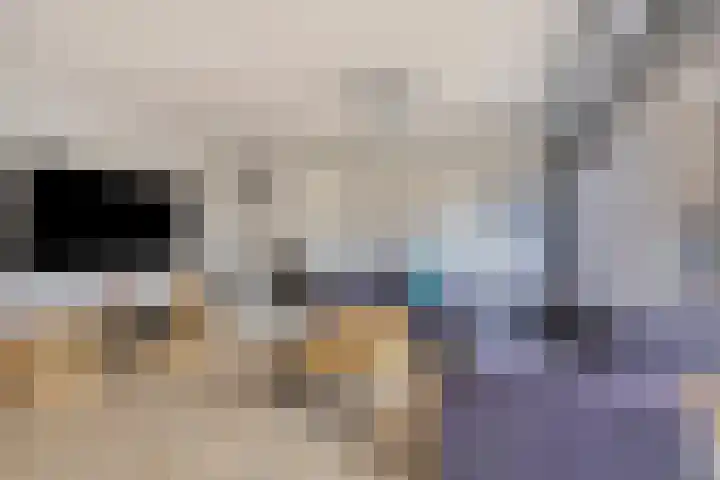 Boxhornpad 3 Eindhoven thumbnail 9