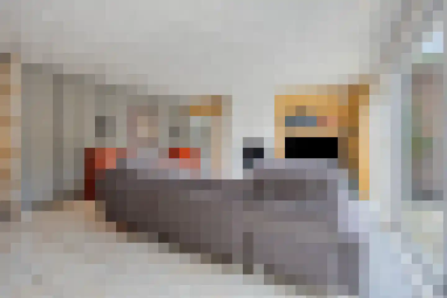 Boxhornpad 6 Eindhoven thumbnail 11