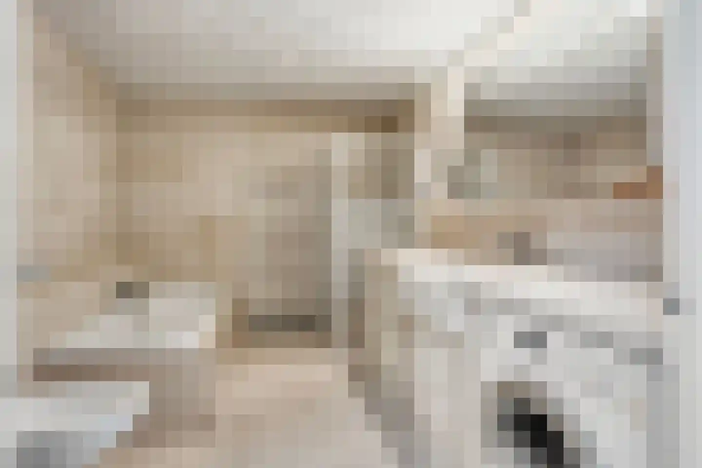 Boxhornpad 6 Eindhoven thumbnail 32