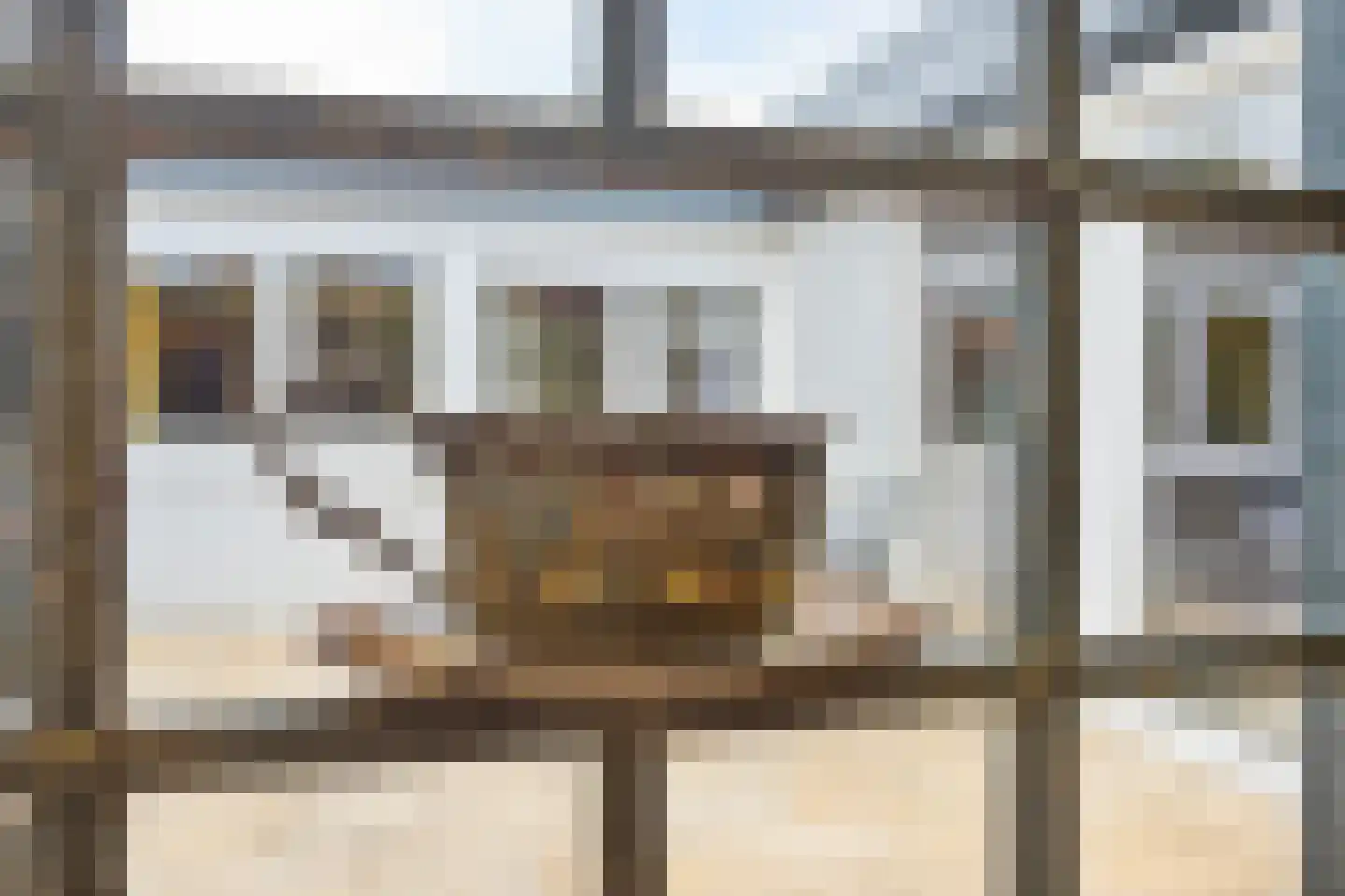 Boxhornpad 6 Eindhoven thumbnail 36