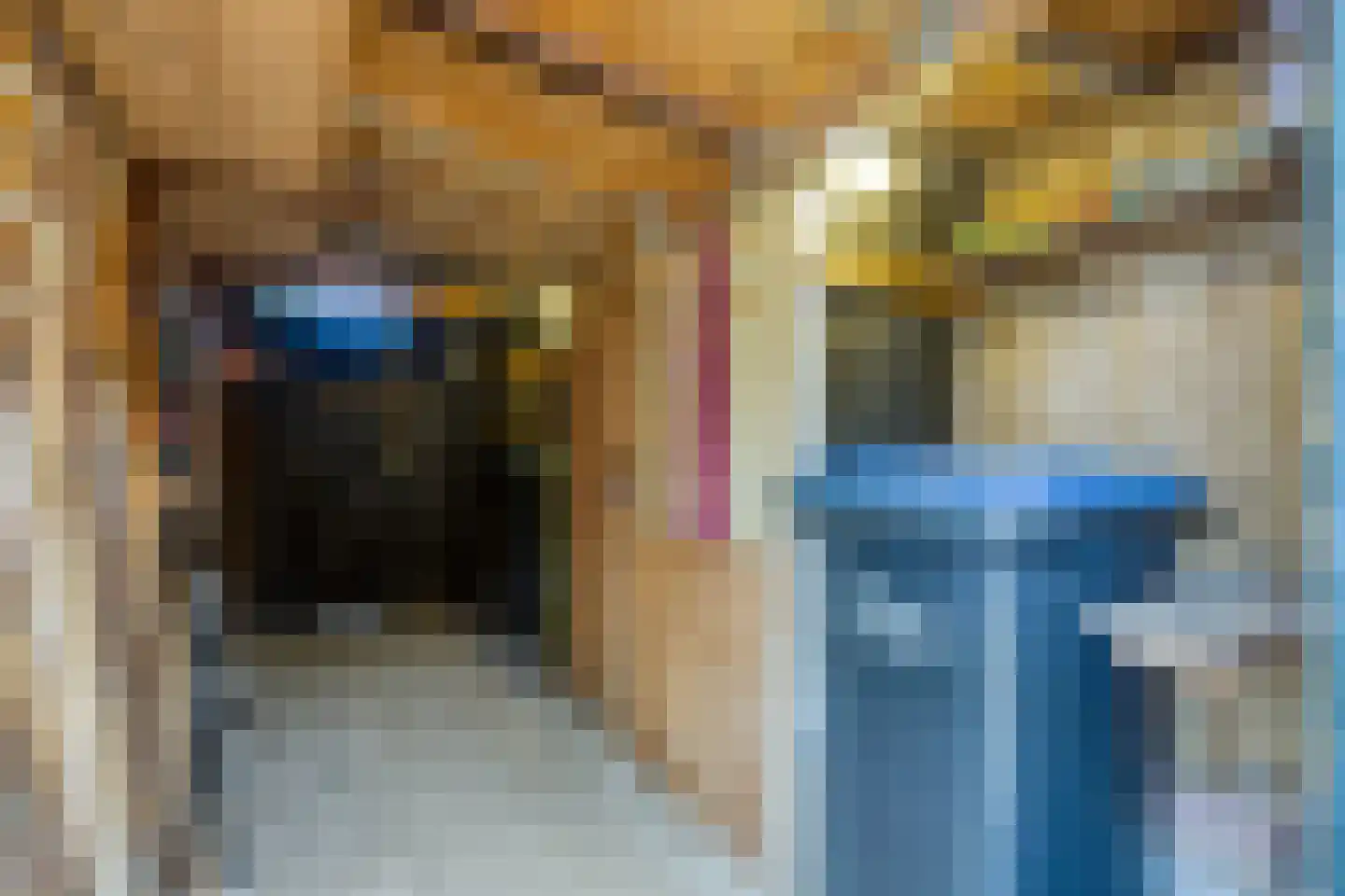 Boxhornpad 6 Eindhoven thumbnail 40