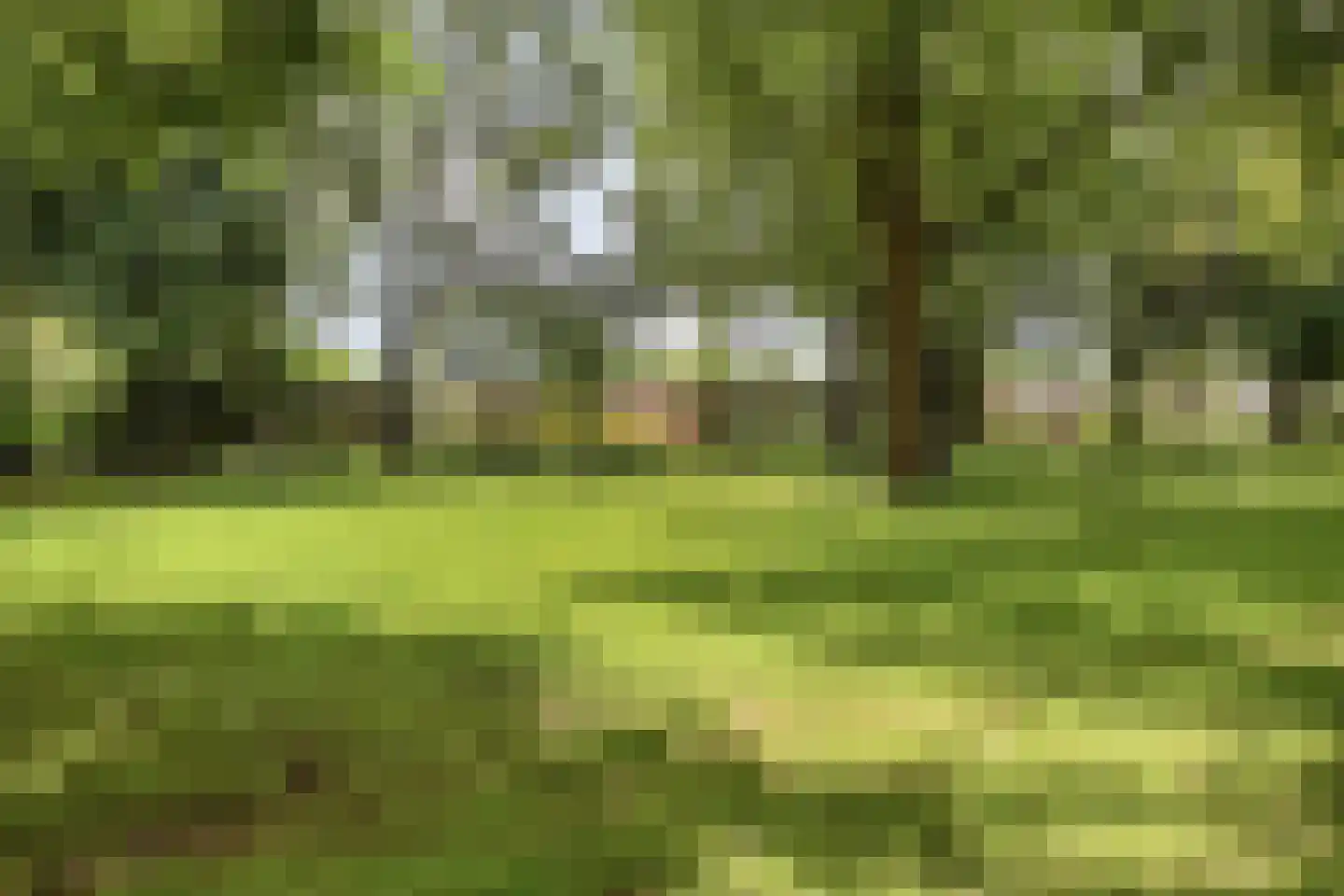 Boxhornpad 6 Eindhoven thumbnail 46