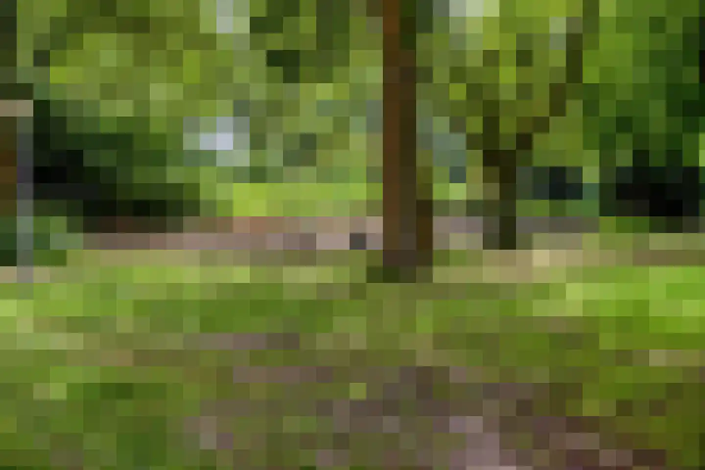 Boxhornpad 6 Eindhoven thumbnail 47