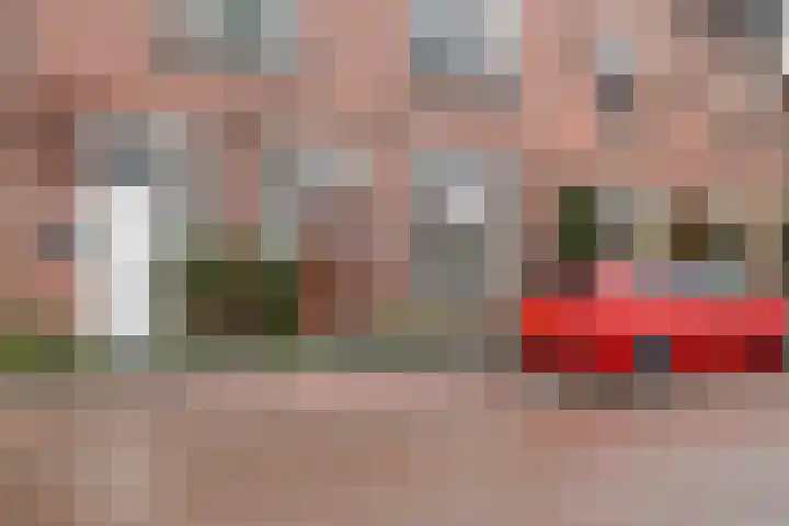 Boxhornstraat 50 Bergen op Zoom thumbnail 29