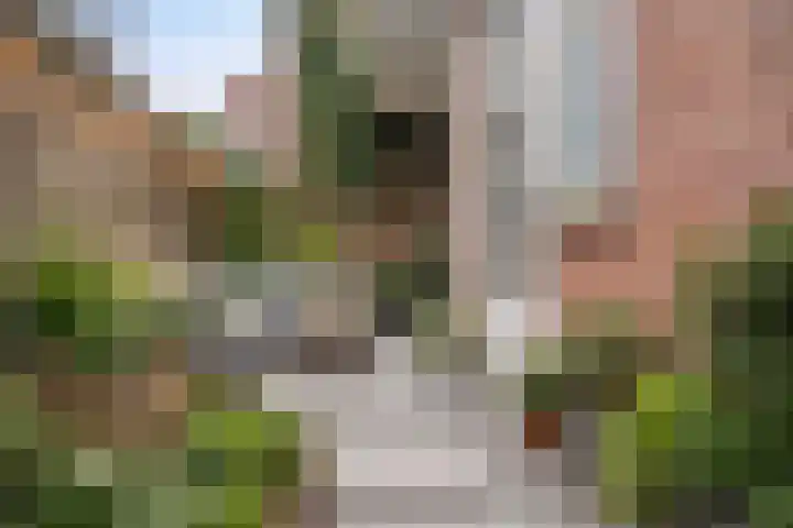 Boxhornstraat 50 Bergen op Zoom thumbnail 5