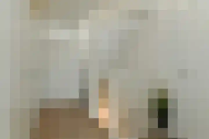 Boxmeerhof 13 Arnhem thumbnail 24