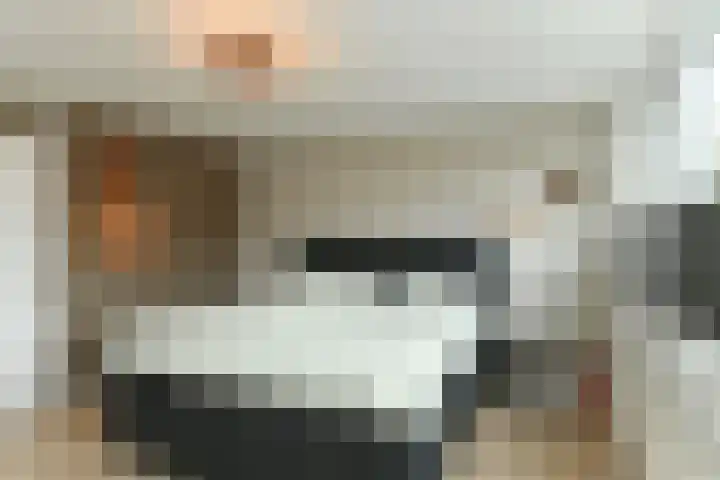 Boxmeerhof 13 Arnhem thumbnail 25