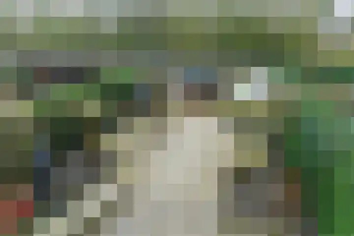 Boxmeerhof 13 Arnhem thumbnail 29