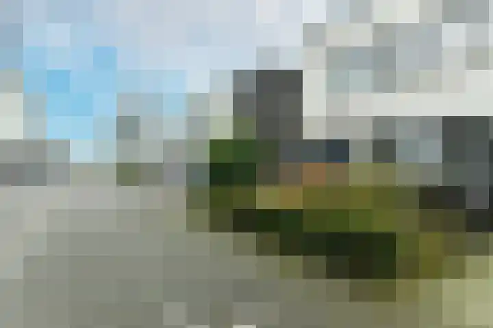 Boxmeerhof 13 Arnhem thumbnail 41