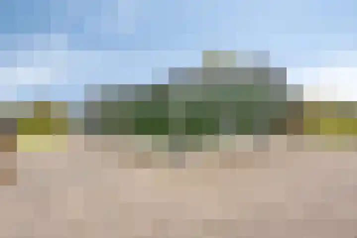Boxmeerseweg 16 Sint Anthonis thumbnail 31