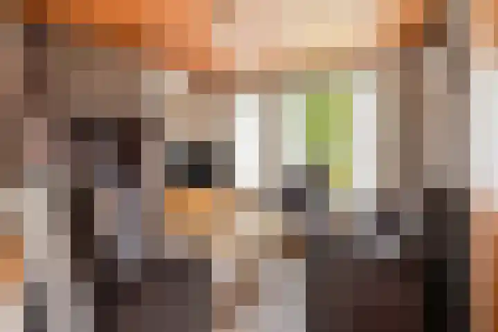 Boxmeerseweg 16 Sint Anthonis thumbnail 8