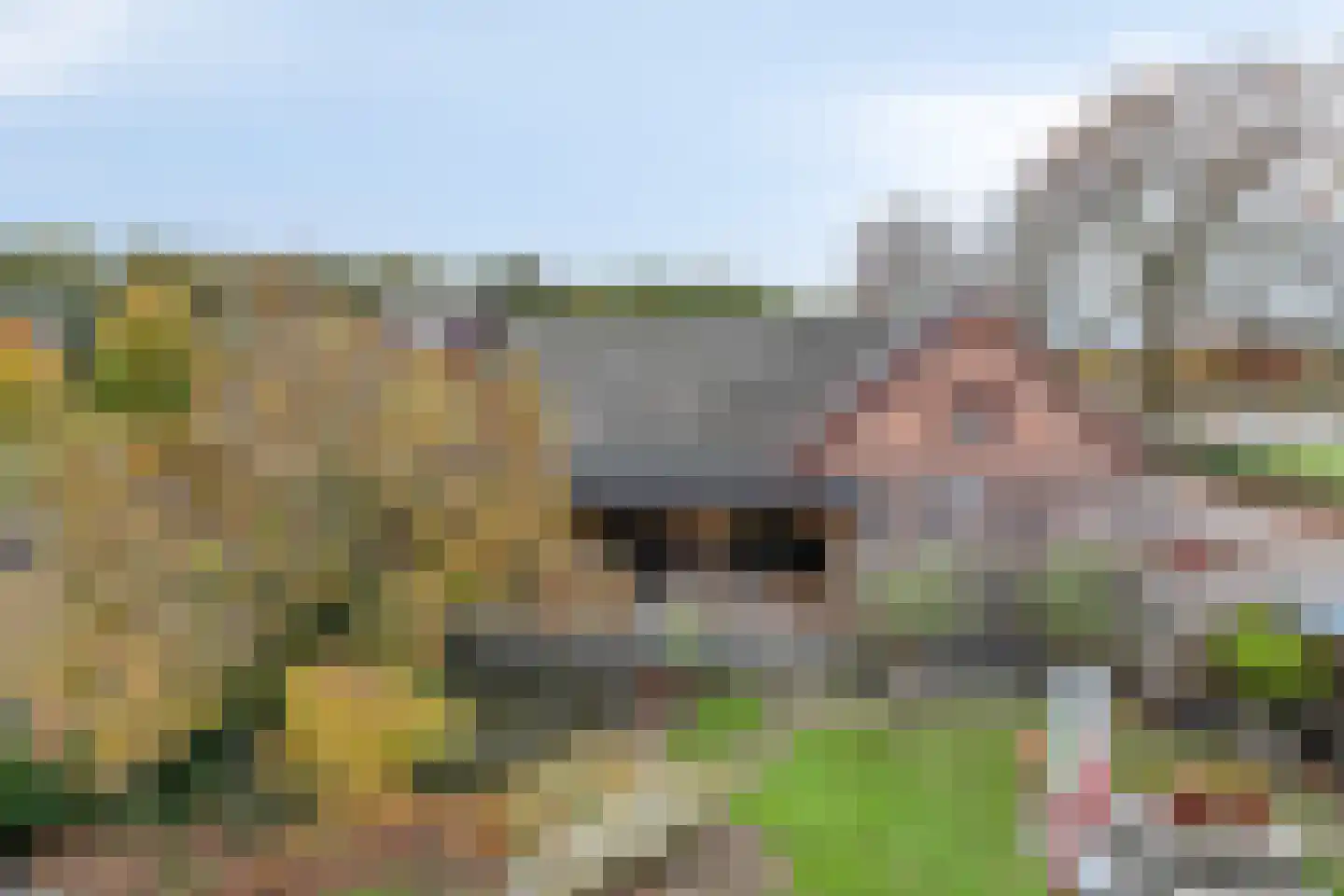 Boxmeerseweg 2 Sint Anthonis thumbnail 10