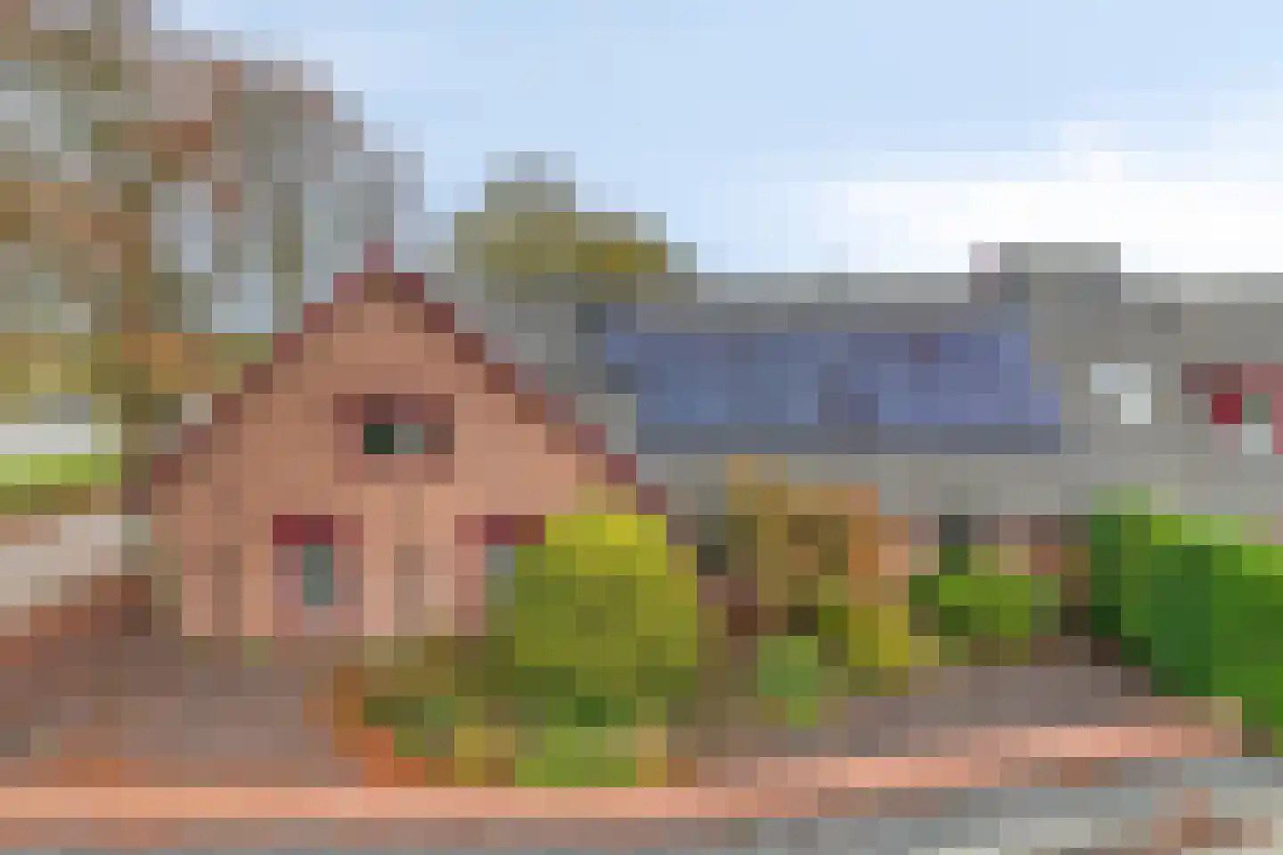 Boxmeerseweg 2 Sint Anthonis thumbnail 11
