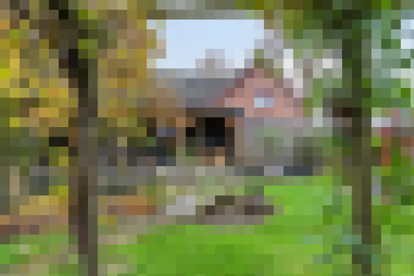 Boxmeerseweg 2 Sint Anthonis thumbnail 12