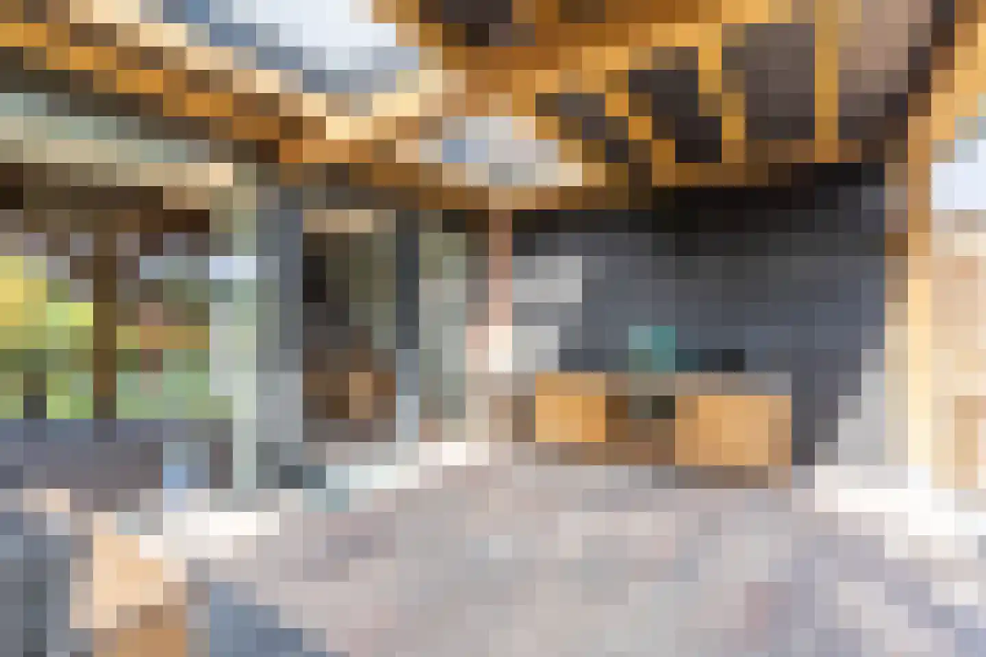 Boxmeerseweg 2 Sint Anthonis thumbnail 13