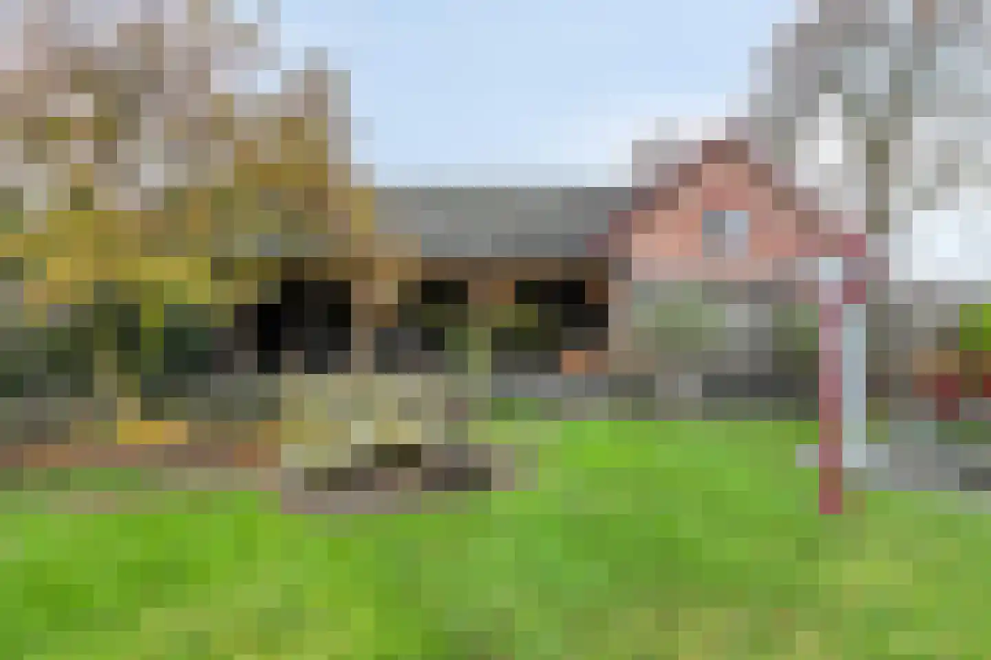 Boxmeerseweg 2 Sint Anthonis thumbnail 15