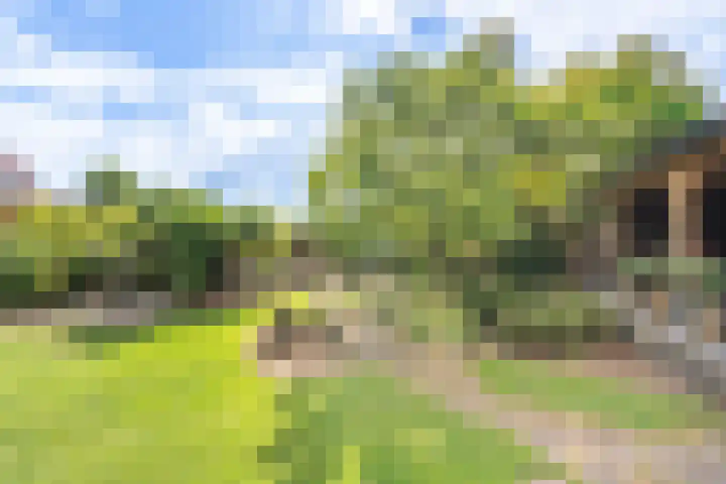 Boxmeerseweg 2 Sint Anthonis thumbnail 16