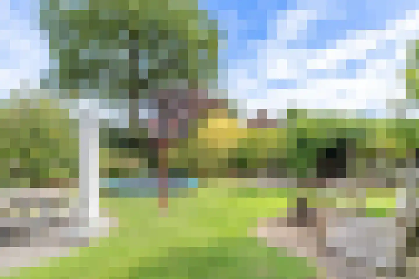 Boxmeerseweg 2 Sint Anthonis thumbnail 17