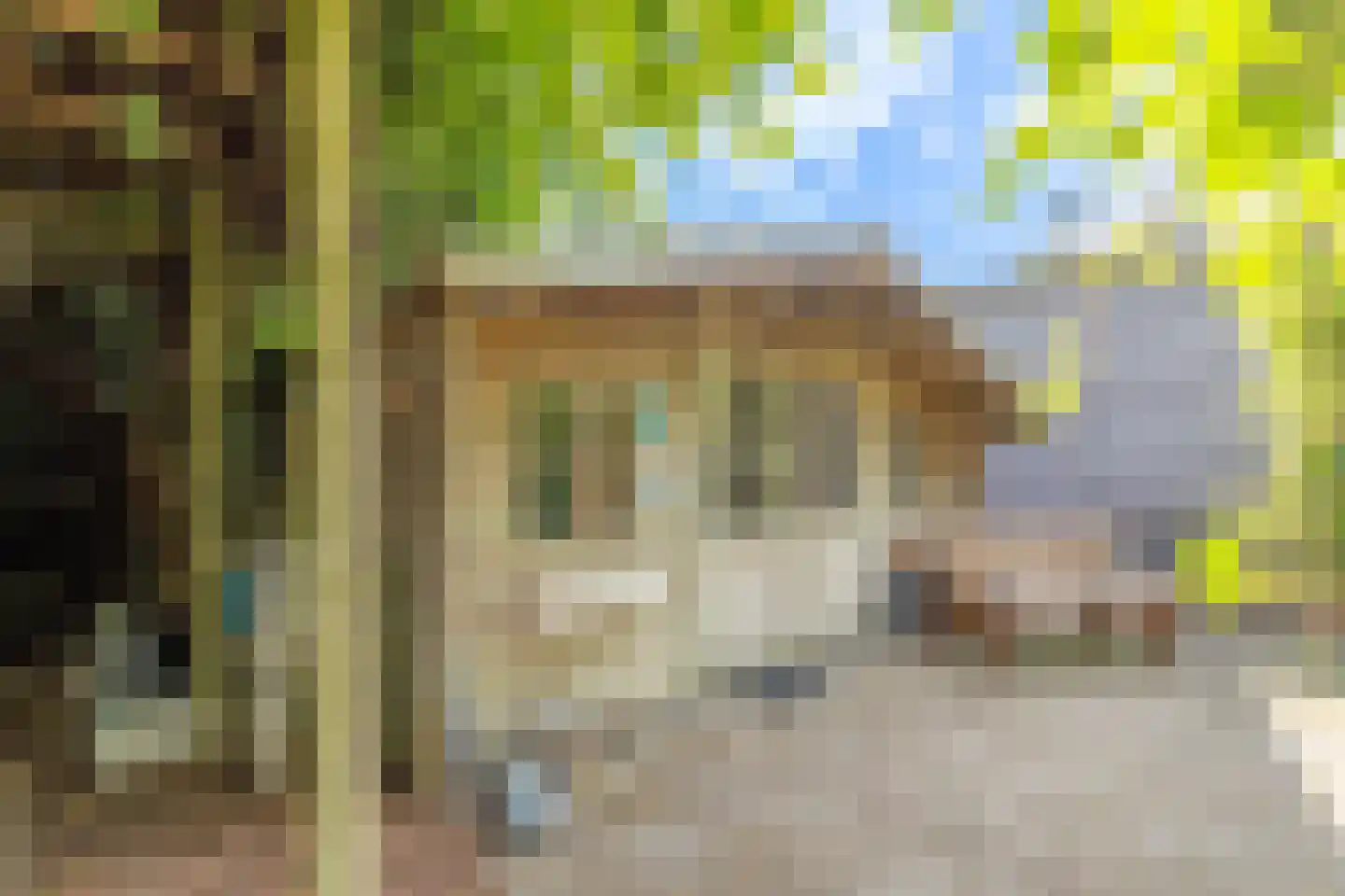 Boxmeerseweg 2 Sint Anthonis thumbnail 19