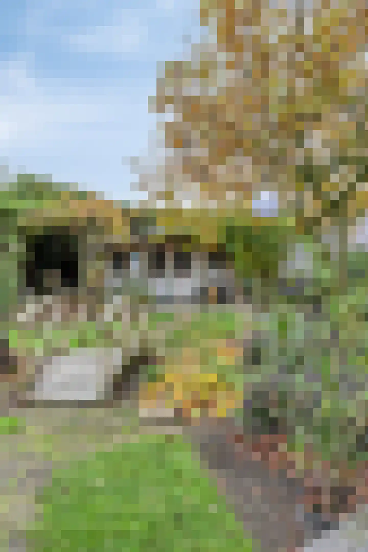 Boxmeerseweg 2 Sint Anthonis thumbnail 20