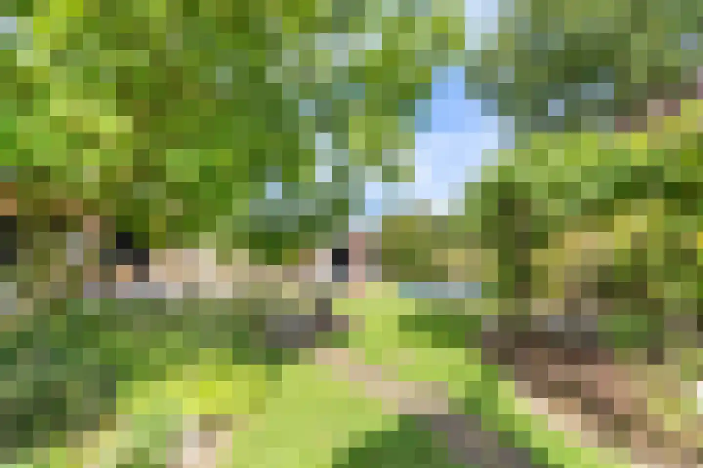 Boxmeerseweg 2 Sint Anthonis thumbnail 20