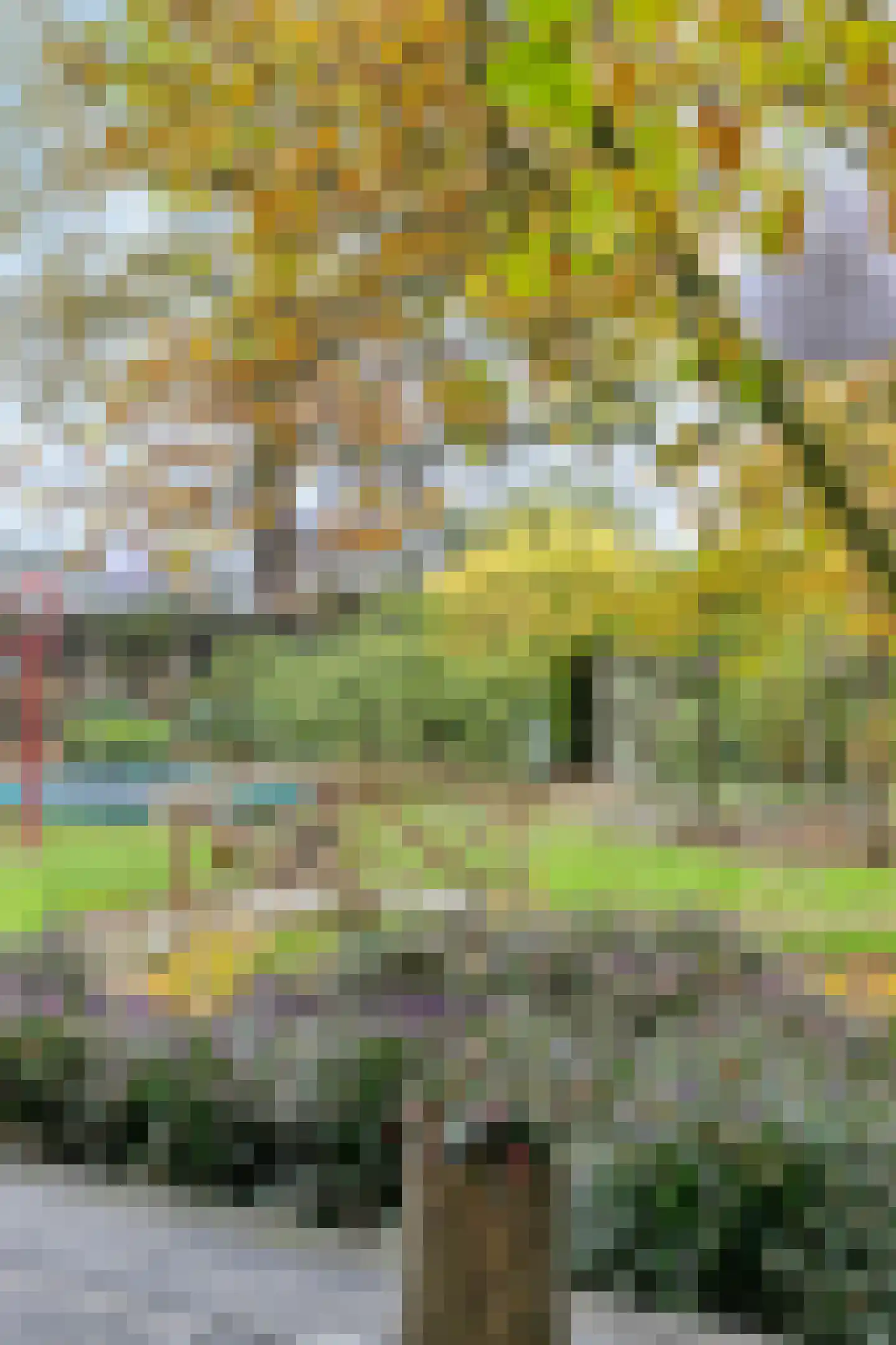 Boxmeerseweg 2 Sint Anthonis thumbnail 21