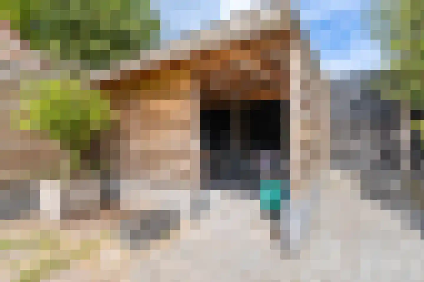 Boxmeerseweg 2 Sint Anthonis thumbnail 21