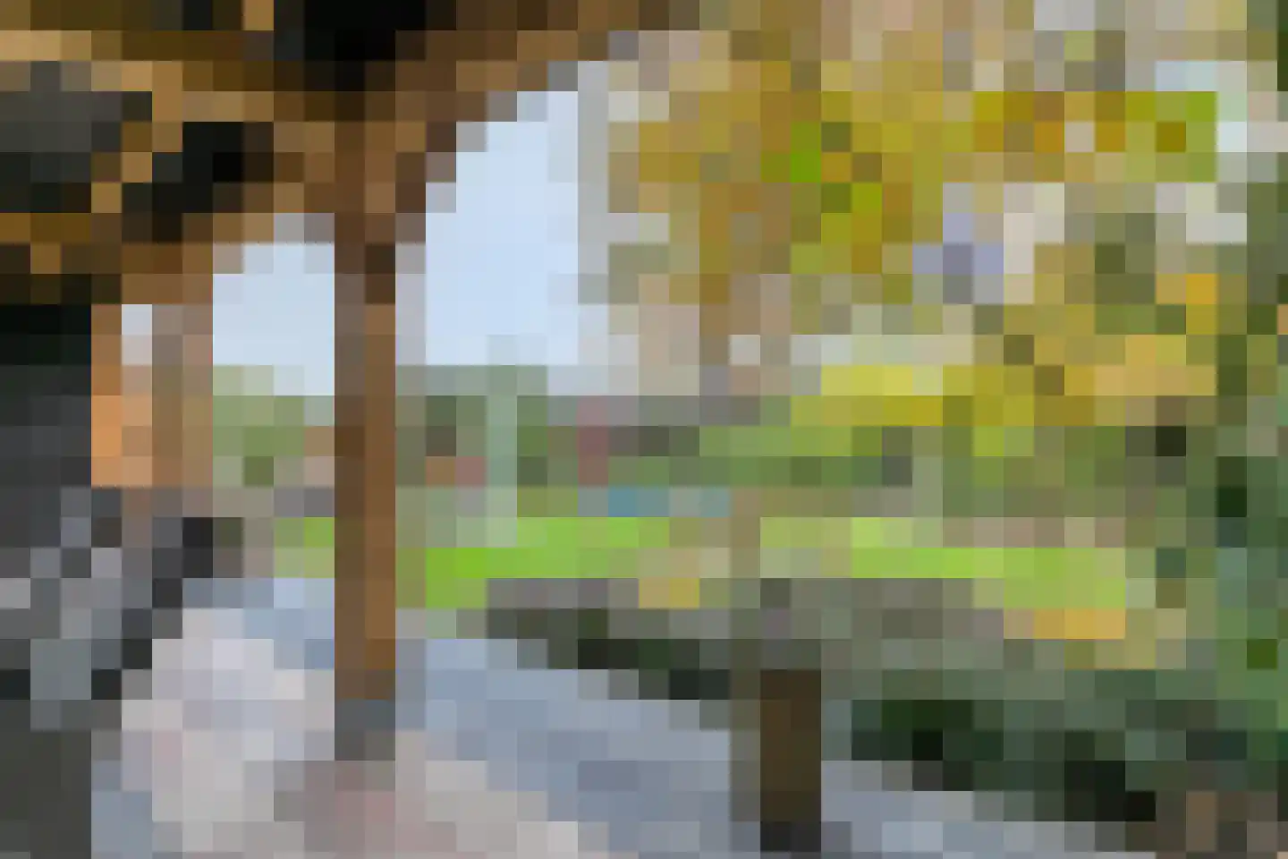 Boxmeerseweg 2 Sint Anthonis thumbnail 22