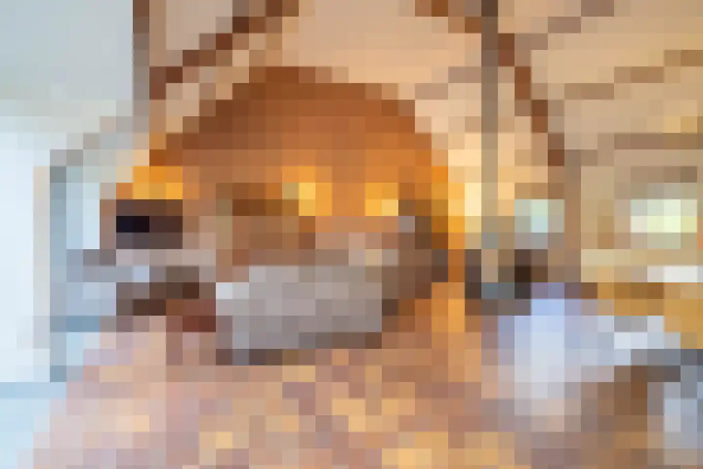 Boxmeerseweg 2 Sint Anthonis thumbnail 23