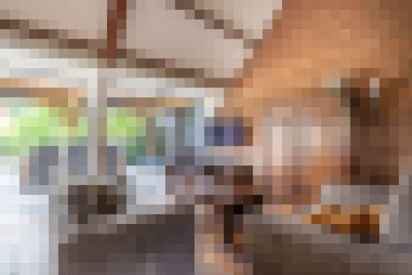 Boxmeerseweg 2 Sint Anthonis thumbnail 24