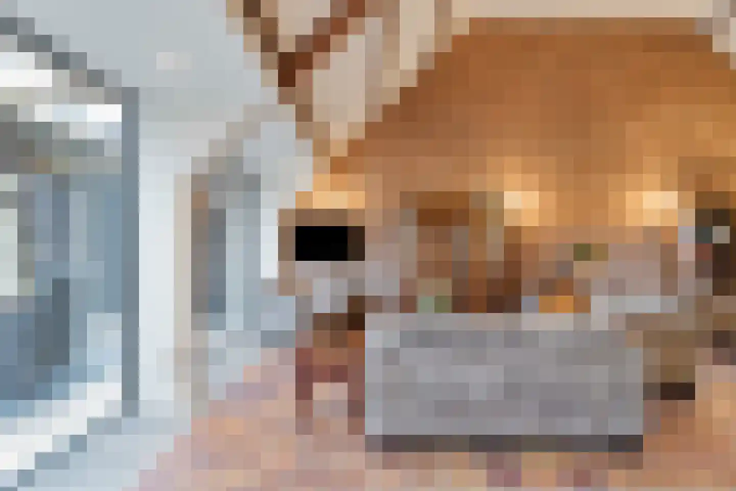 Boxmeerseweg 2 Sint Anthonis thumbnail 30
