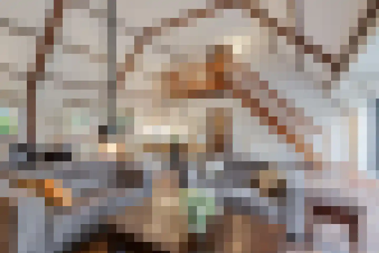 Boxmeerseweg 2 Sint Anthonis thumbnail 33