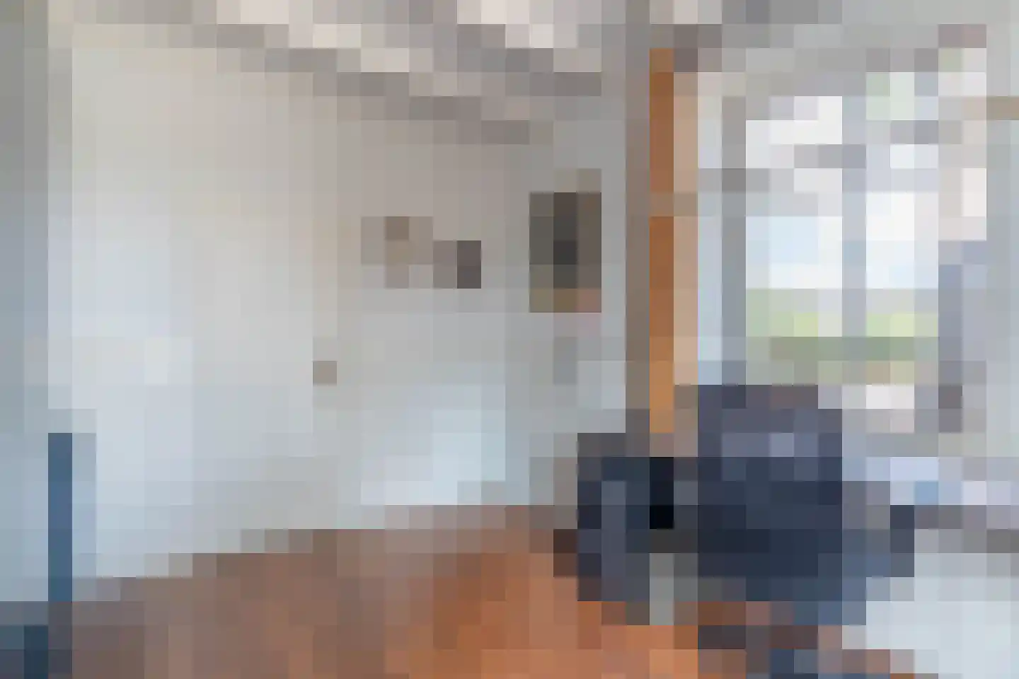 Boxmeerseweg 2 Sint Anthonis thumbnail 38
