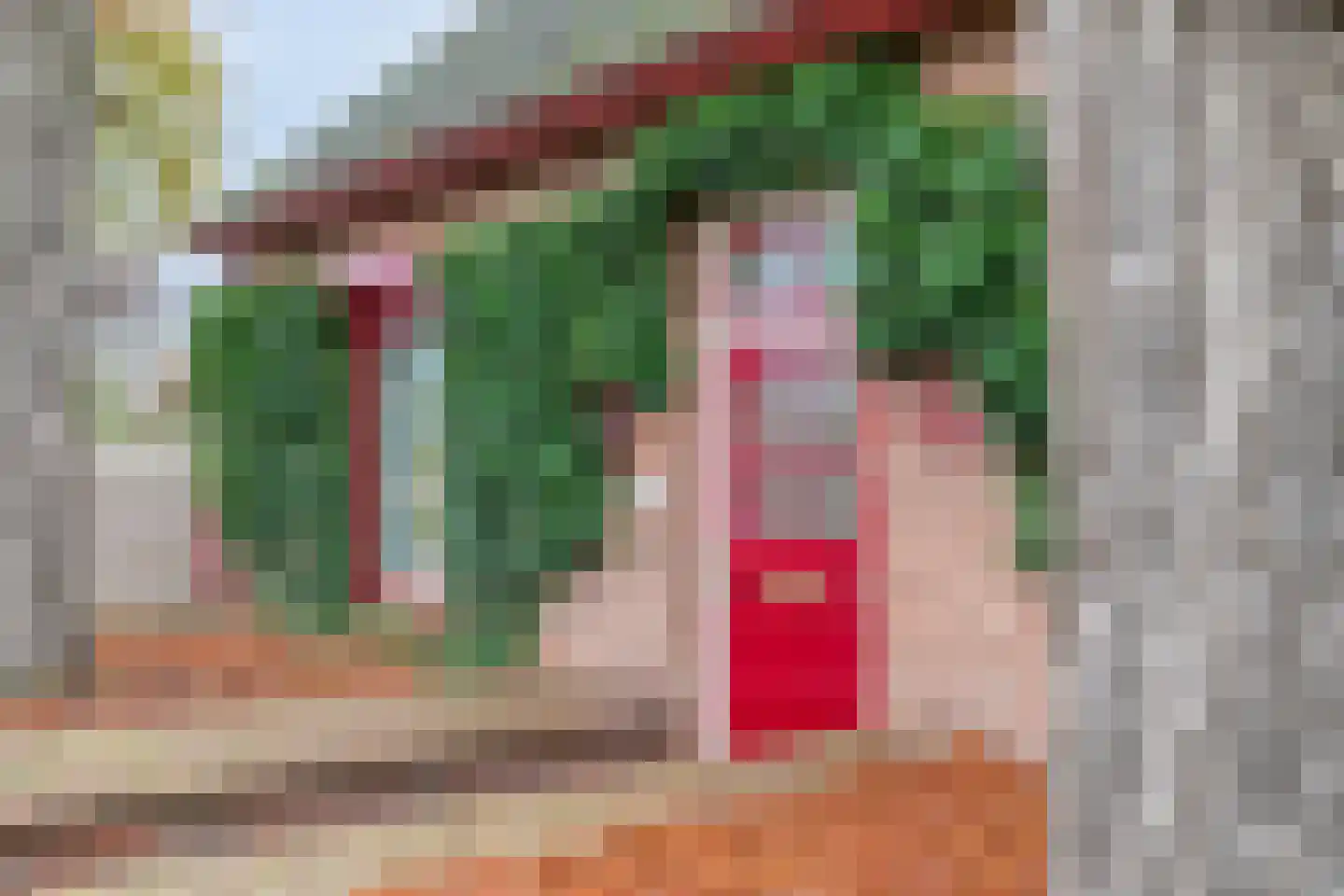 Boxmeerseweg 2 Sint Anthonis thumbnail 4