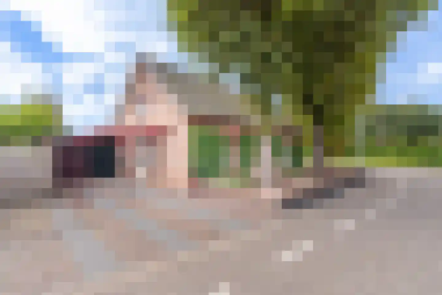Boxmeerseweg 2 Sint Anthonis thumbnail 5