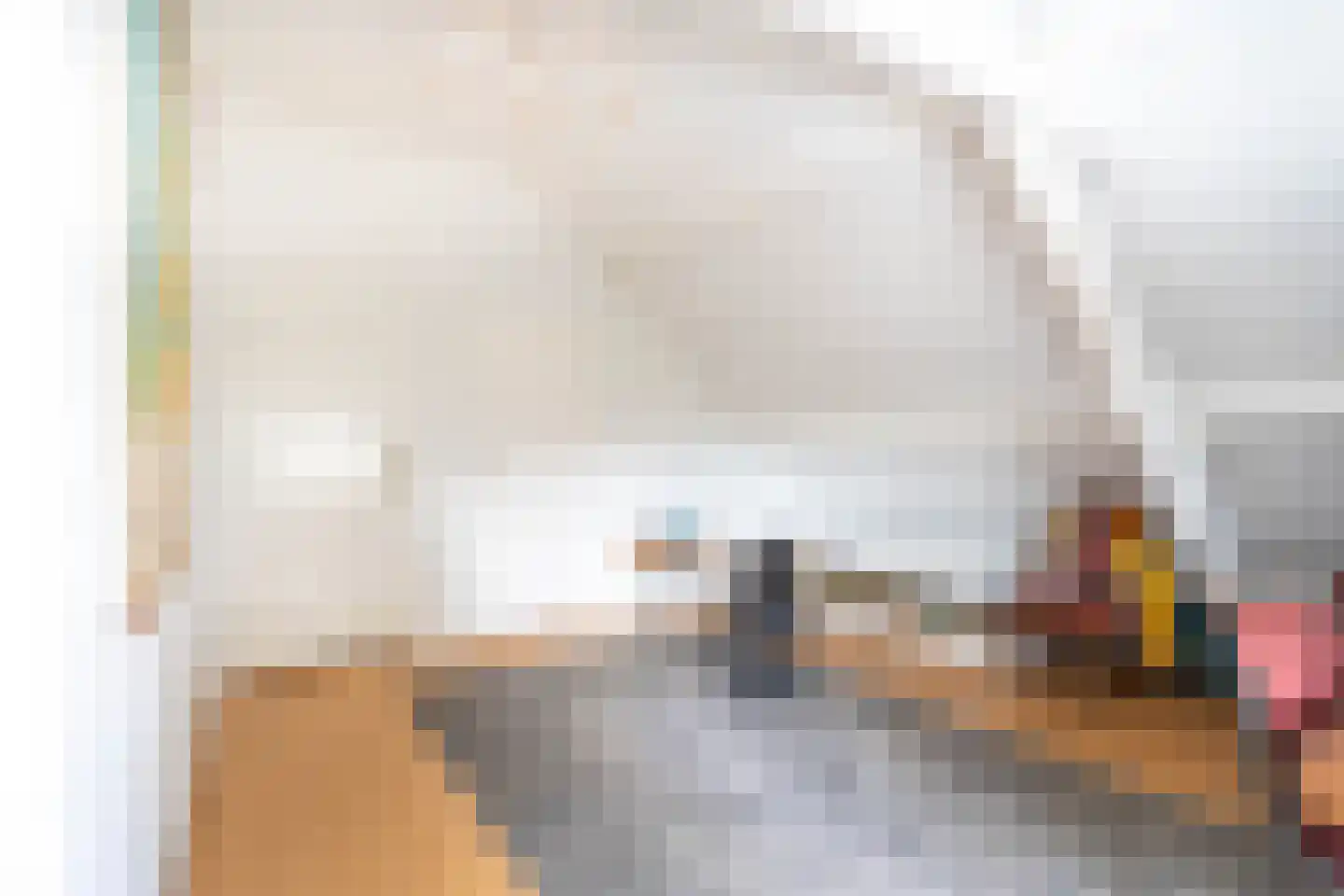 Boxmeerseweg 2 Sint Anthonis thumbnail 57