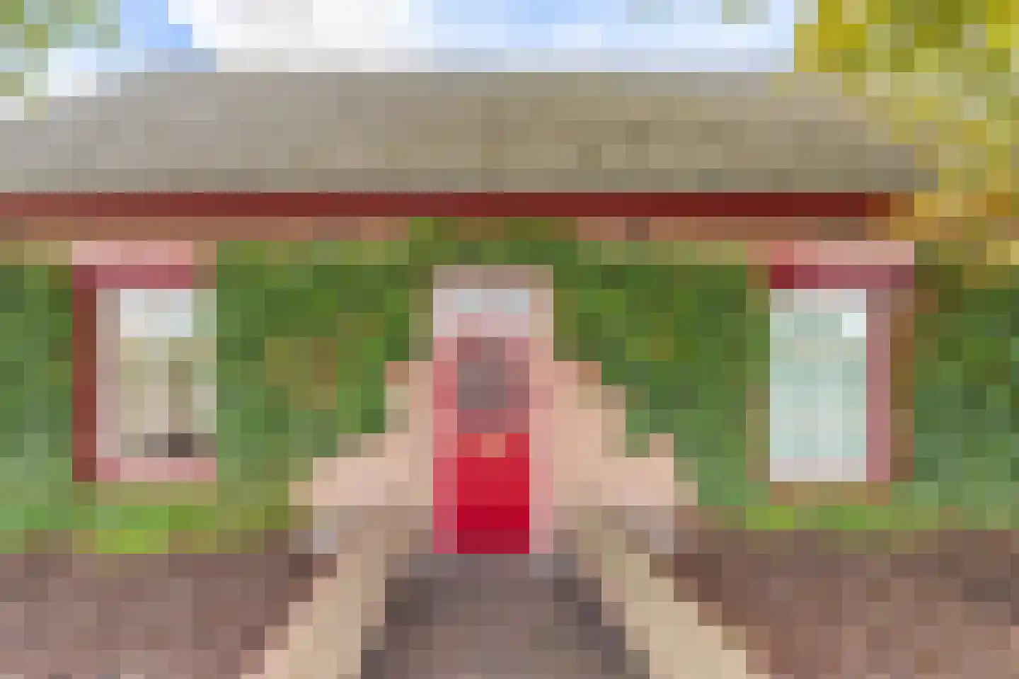 Boxmeerseweg 2 Sint Anthonis thumbnail 6