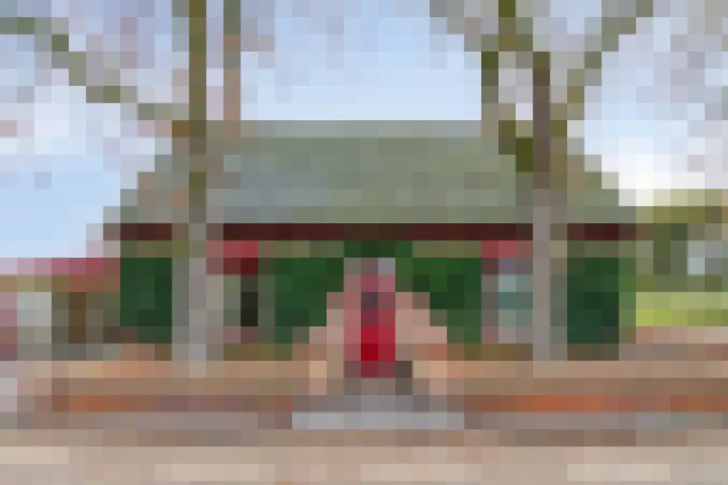 Boxmeerseweg 2 Sint Anthonis thumbnail 6
