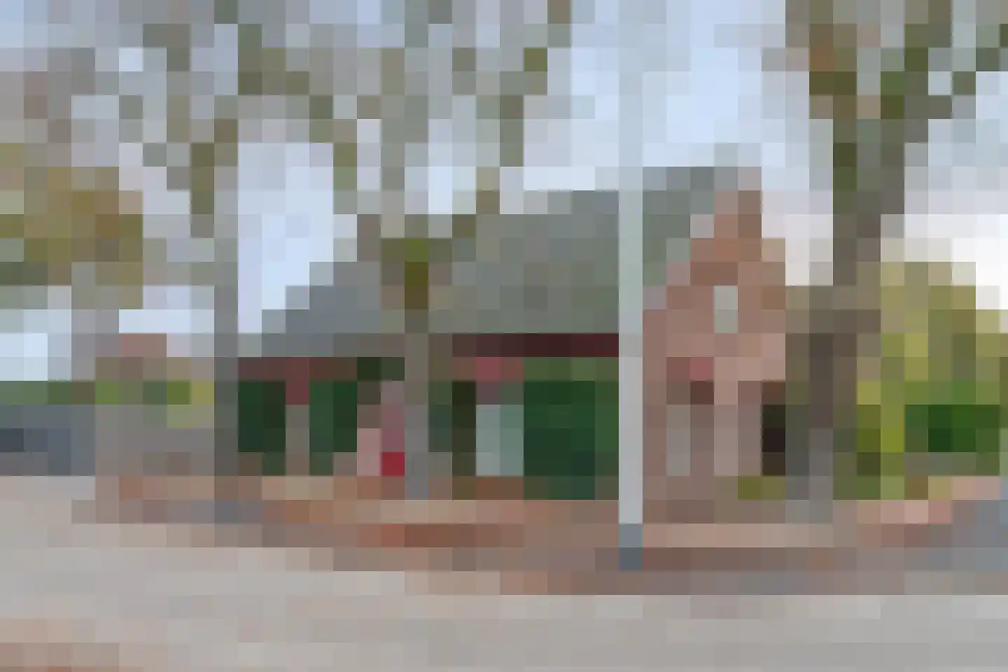 Boxmeerseweg 2 Sint Anthonis thumbnail 7