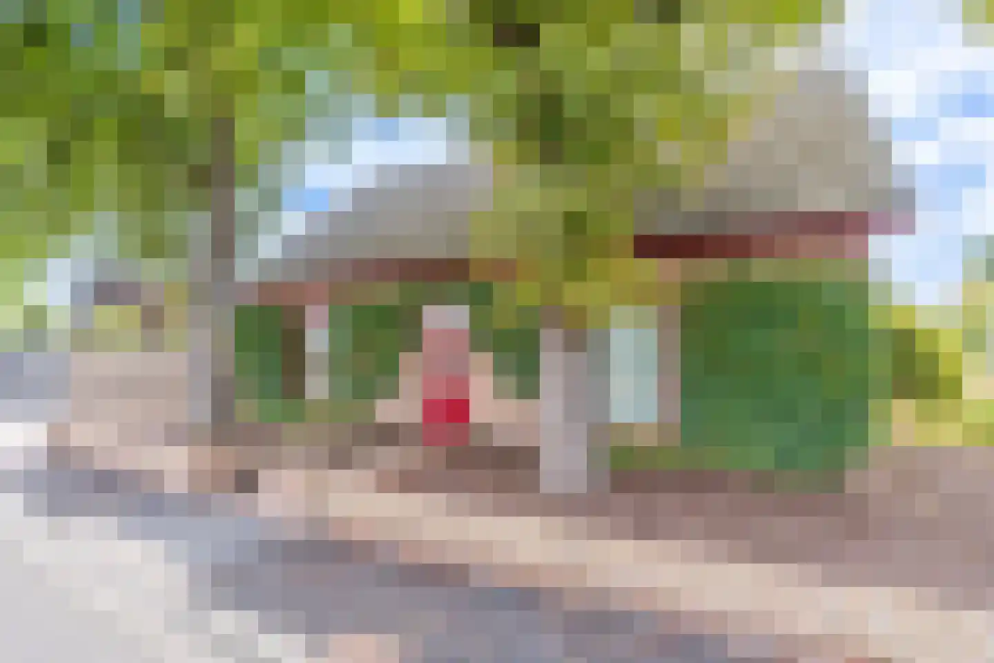 Boxmeerseweg 2 Sint Anthonis thumbnail 7