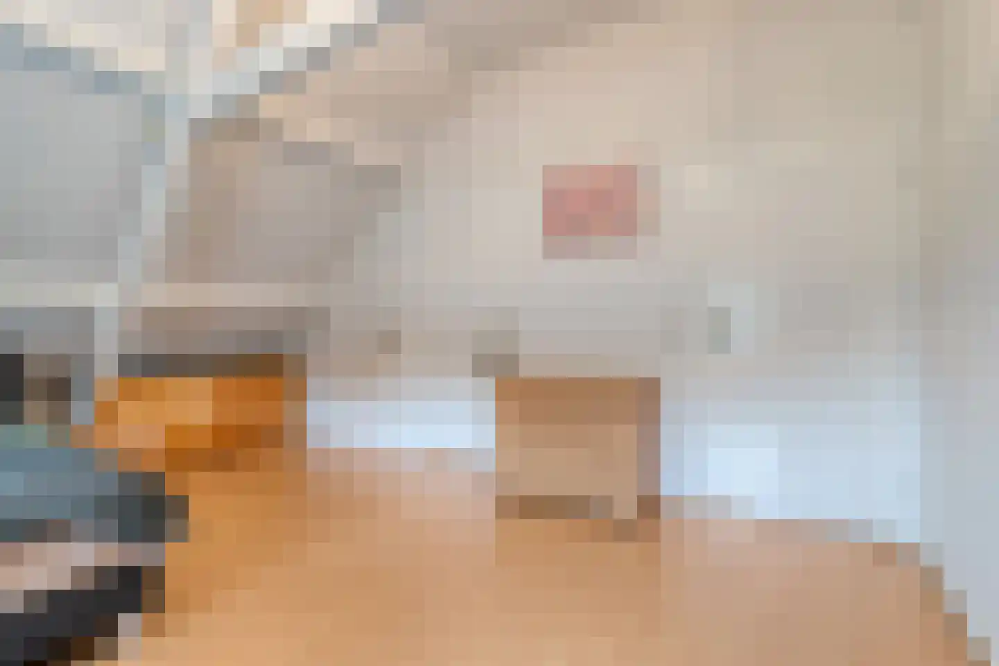 Boxmeerseweg 2 Sint Anthonis thumbnail 73