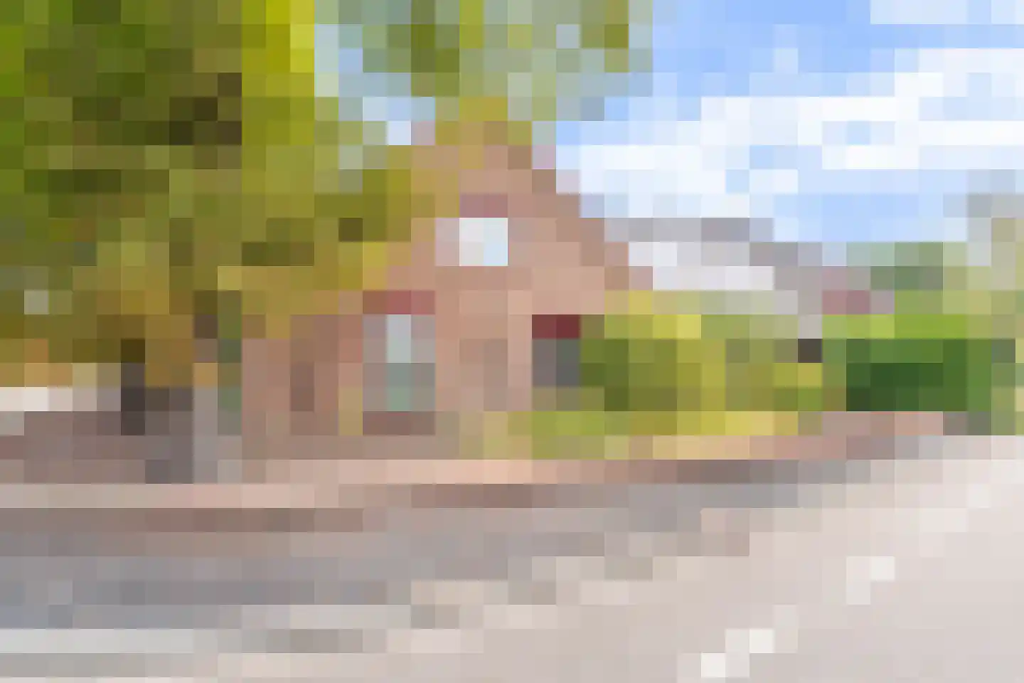 Boxmeerseweg 2 Sint Anthonis thumbnail 8