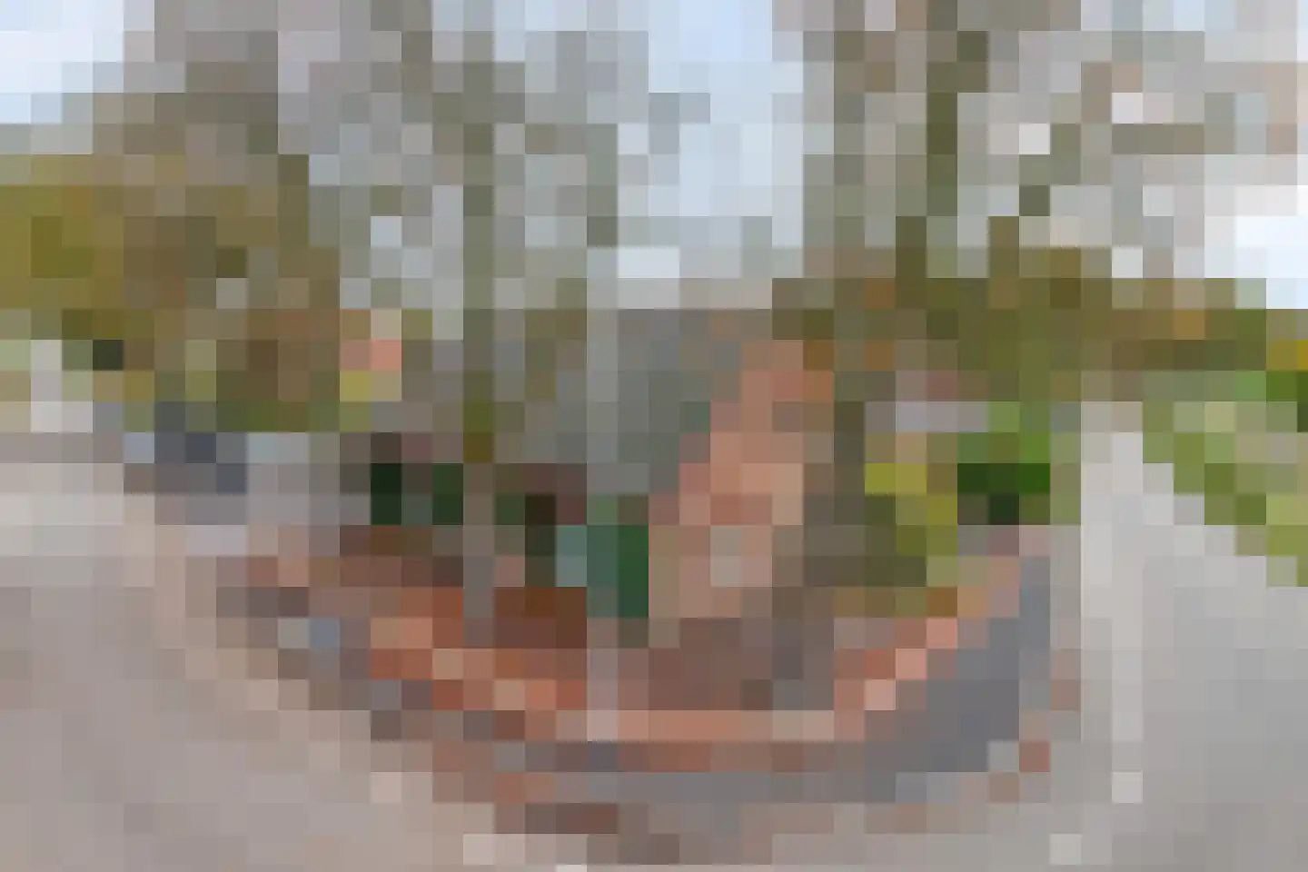Boxmeerseweg 2 Sint Anthonis thumbnail 82