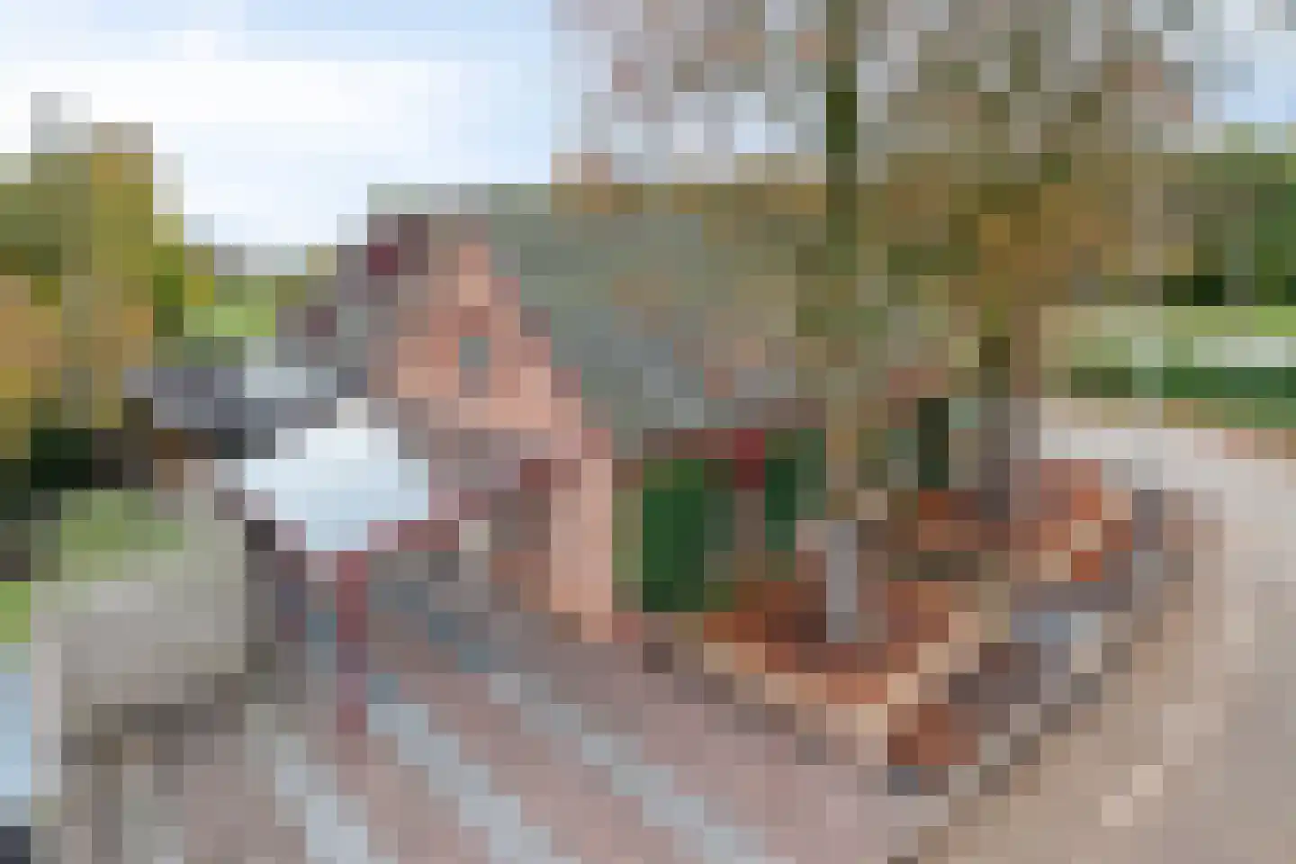 Boxmeerseweg 2 Sint Anthonis thumbnail 83