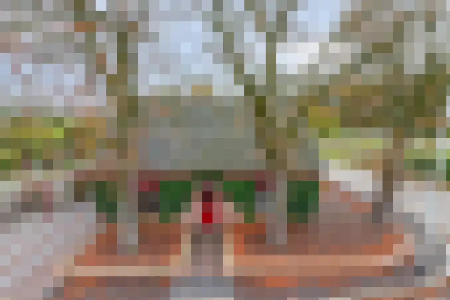 Boxmeerseweg 2 Sint Anthonis thumbnail 85