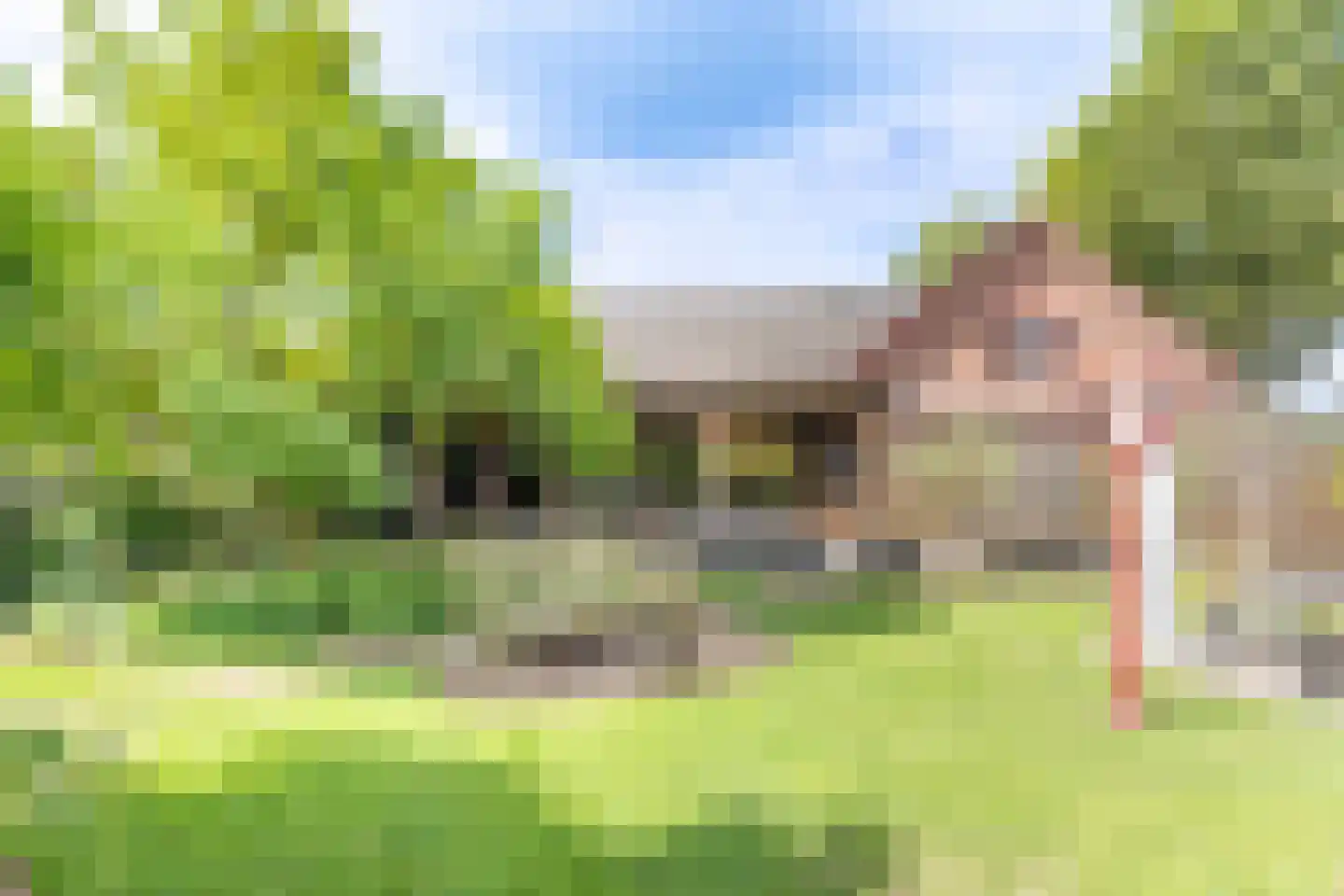 Boxmeerseweg 2 Sint Anthonis thumbnail 9