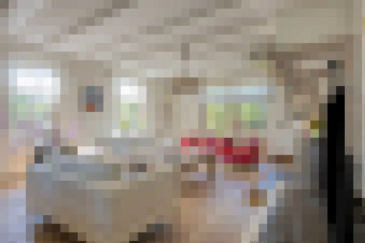 Boxmeerseweg 23 Sint Anthonis thumbnail 12