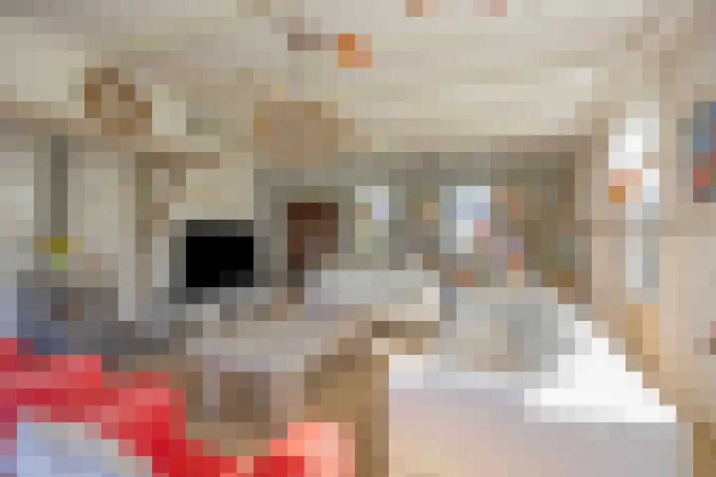 Boxmeerseweg 23 Sint Anthonis thumbnail 13