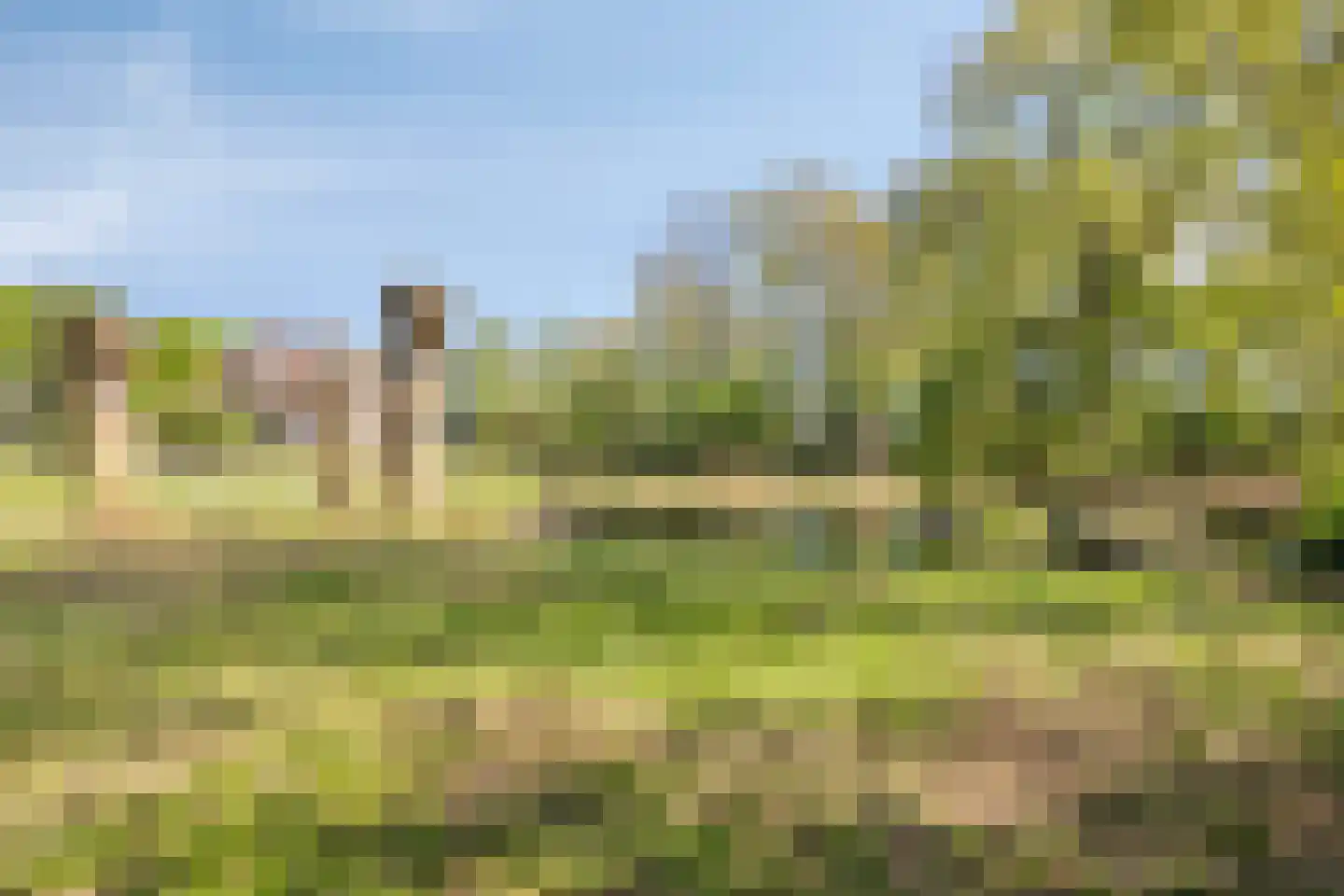 Boxmeerseweg 23 Sint Anthonis thumbnail 66