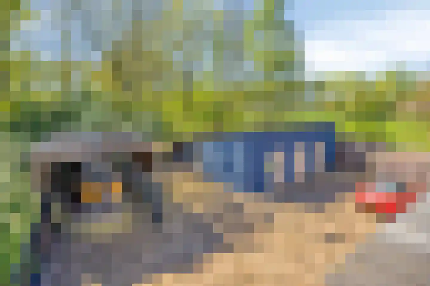 Boxmeerseweg 23 Sint Anthonis thumbnail 67